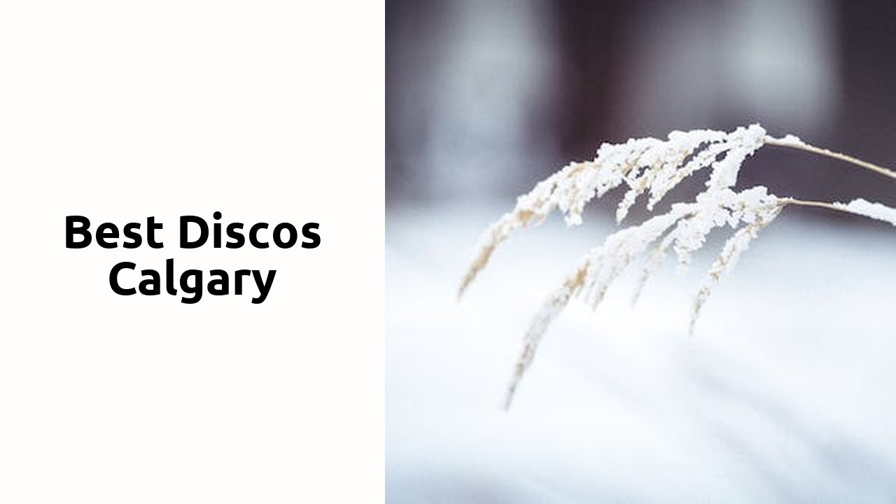 Best Discos Calgary