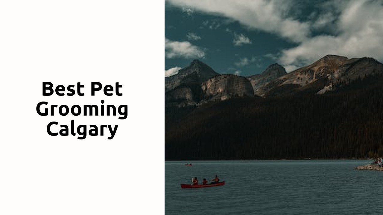 Best Pet Grooming Calgary