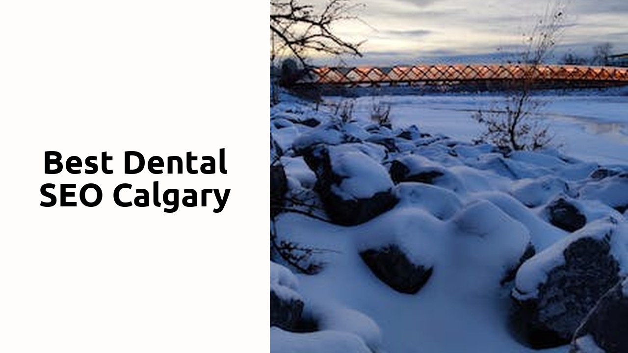 Best Dental SEO Calgary
