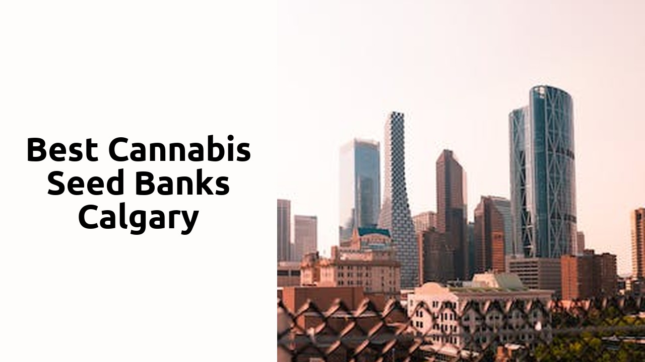Best Cannabis Seed Banks Calgary