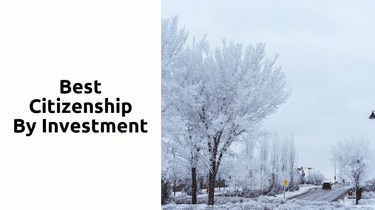 Best Citizenship by investment